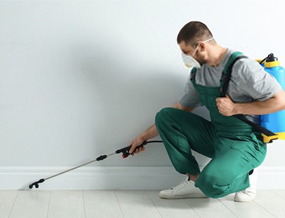 Pest Control  Tottenham Services