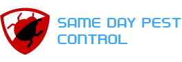 samedaypestcontroltottenham.com.au